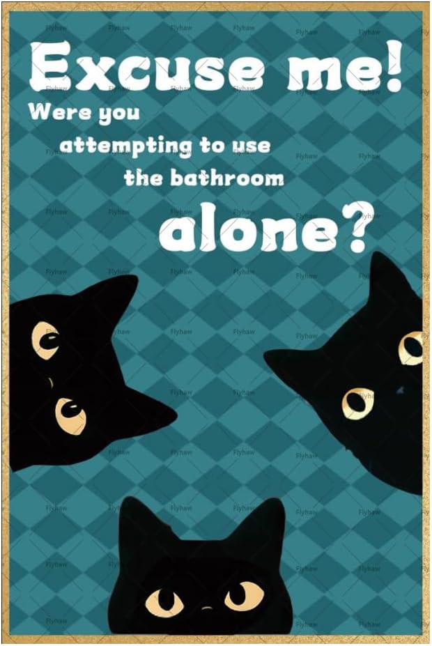 Home Alone Bathroom - Entschuldigung, versuchten Sie, alleine ins Badezimmer