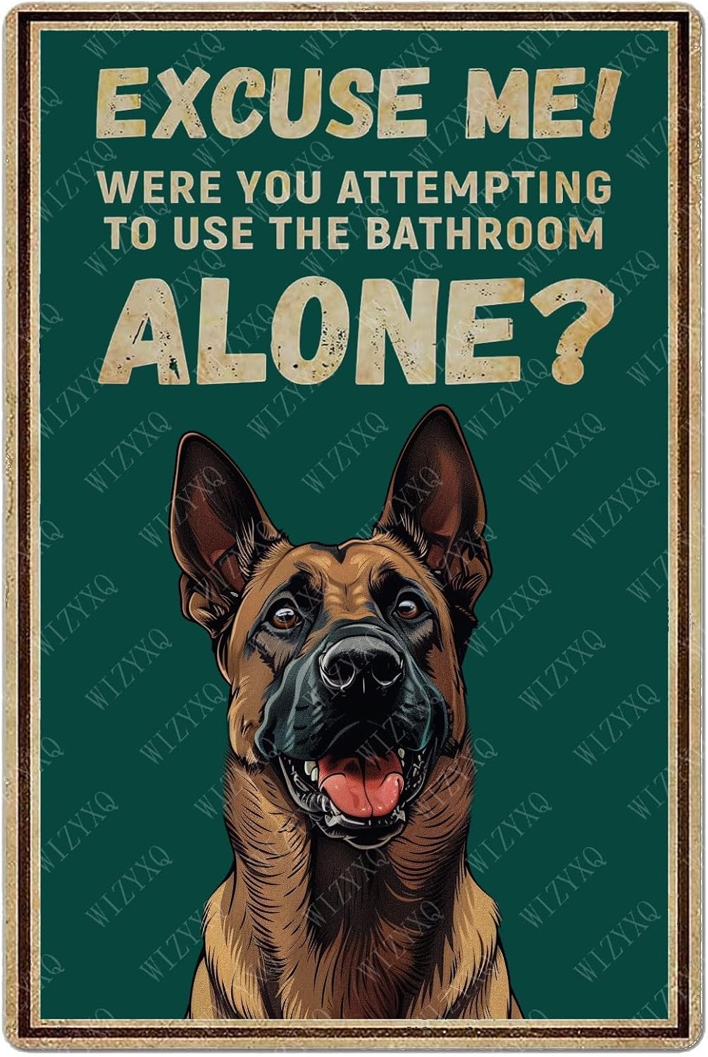 Blechschilder „Excuse Me Were  – Home Alone Bathroom Bewertung und Preis