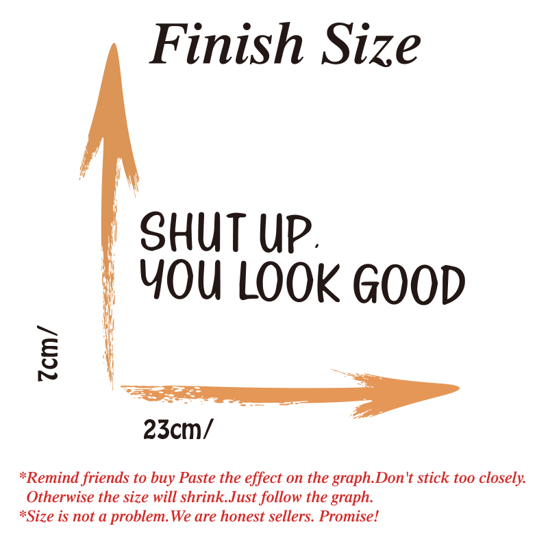 Sh*t UP You Look Good Zitat-Sp – Home Goods Bathroom Mirrors Bewertung und Preis